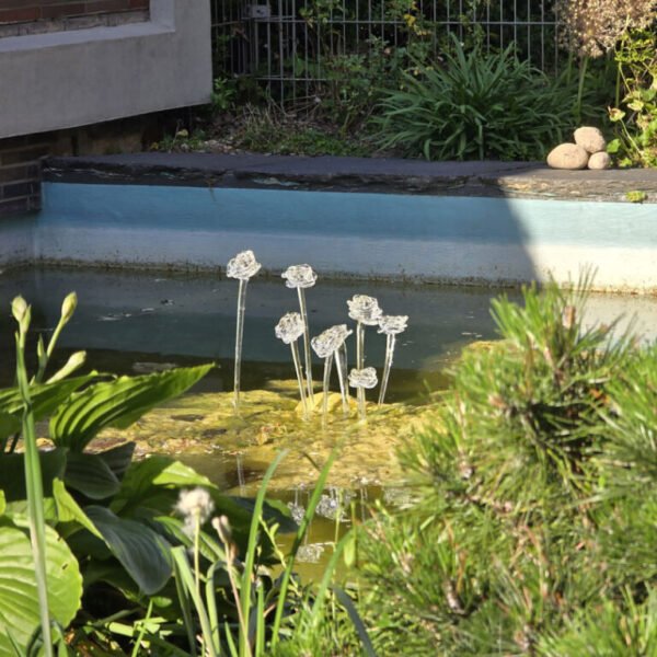 frozen roses frozen roses