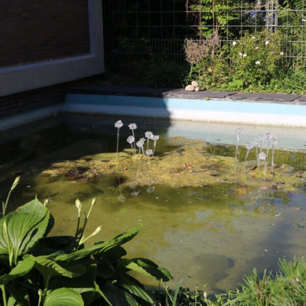 Frozen-roses-5 Frozen-roses-5