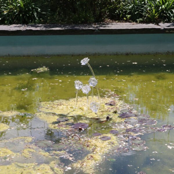 frozen-roses-4 frozen-roses-4